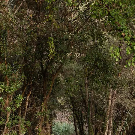 Casa Peras וילה אובידוס
